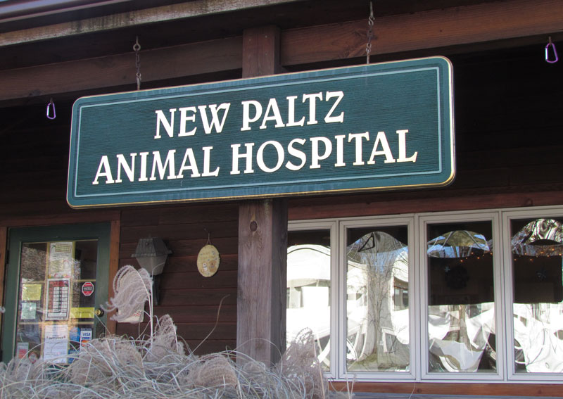 Carousel Slide 3: New Paltz Animal Hospital